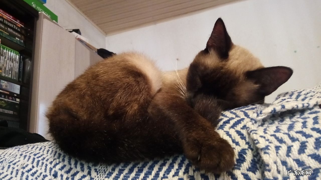 女生每月都来例假，如不想生了，您能接受使自己不来月经吗为什么