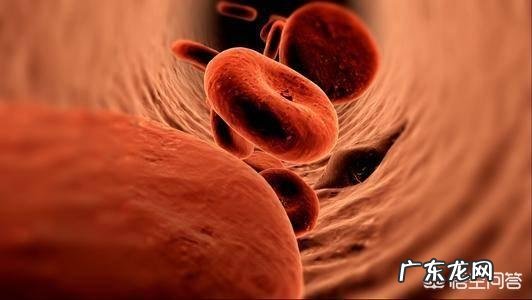 节食减肥期间可以通过多种矿物质片维生素补充人体营养吗