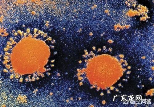 节食减肥期间可以通过多种矿物质片维生素补充人体营养吗