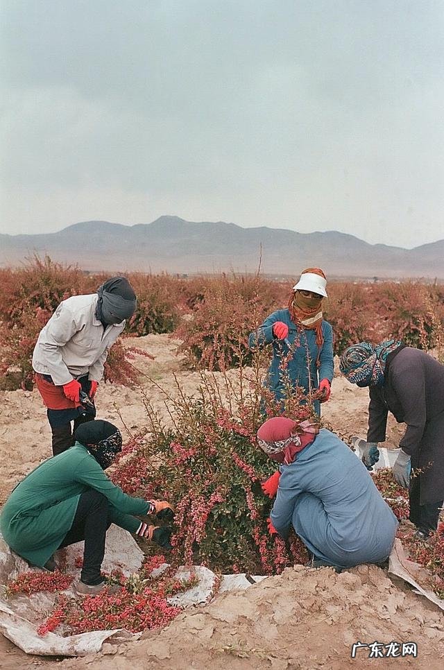 英国女性超模惊艳的照片 英国摄影大赛获奖