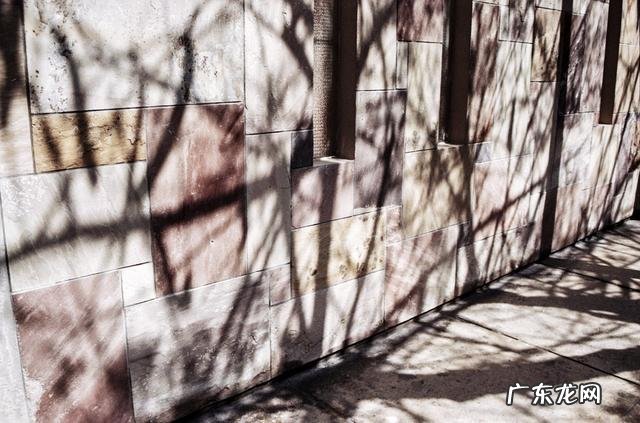 英国女性超模惊艳的照片 英国摄影大赛获奖