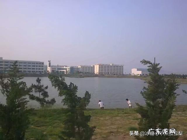 每天熬夜到凌晨两三点,两包烟,一顿饭,会不会猝死?