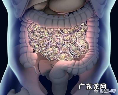 婴儿便便是绿色的是什么原因呢