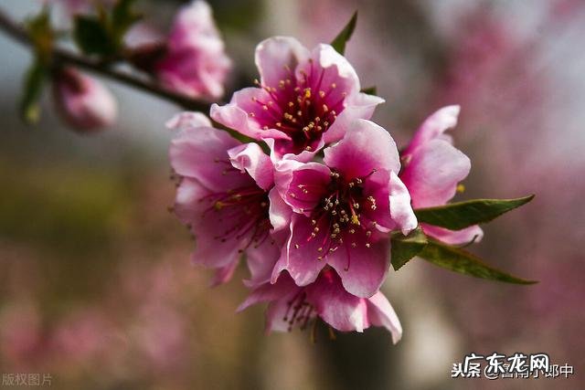 经常失眠多梦，控制不住想发脾气，这是怎么回事啊