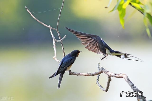 有什么冷门意境很美的古诗词