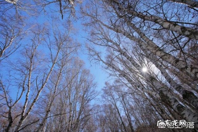 山东哪里的美食最能代表山东特色