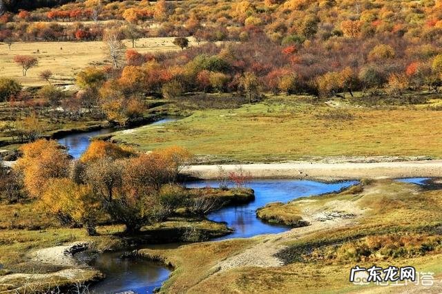 山东哪里的美食最能代表山东特色