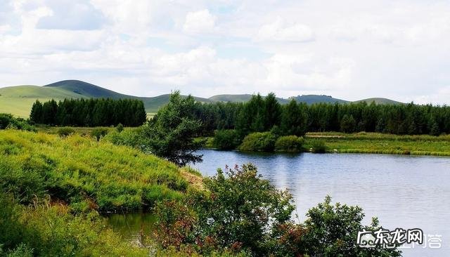 山东哪里的美食最能代表山东特色