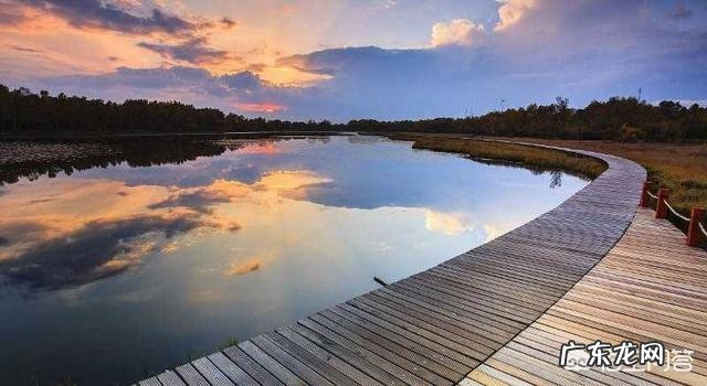 山东哪里的美食最能代表山东特色