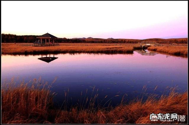 山东哪里的美食最能代表山东特色