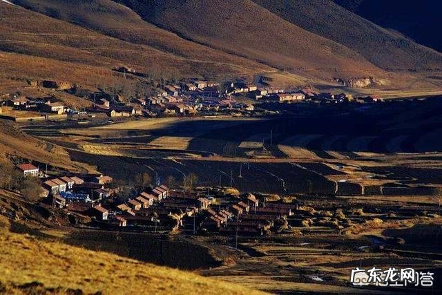 山东哪里的美食最能代表山东特色