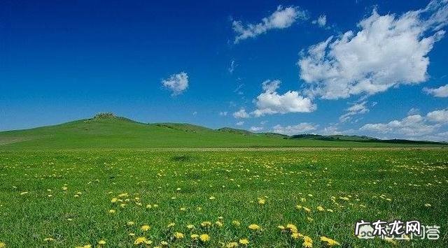 山东哪里的美食最能代表山东特色