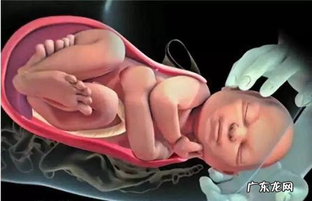 人类女性产道为何是扭曲复杂结构 人类性别演化