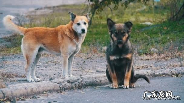 办公室同事全是女性是一种什么体验