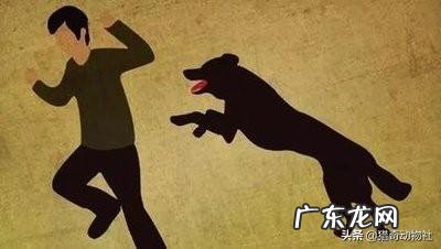 办公室同事全是女性是一种什么体验