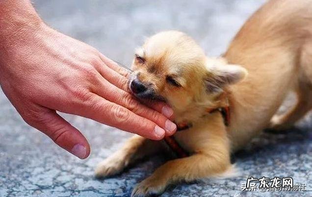 办公室同事全是女性是一种什么体验