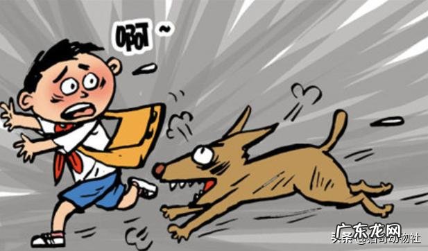 办公室同事全是女性是一种什么体验