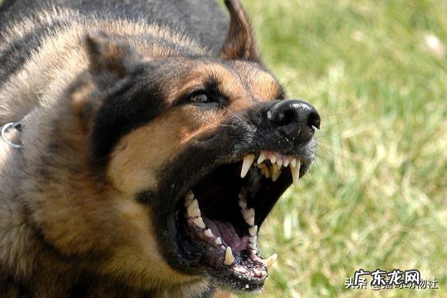 办公室同事全是女性是一种什么体验