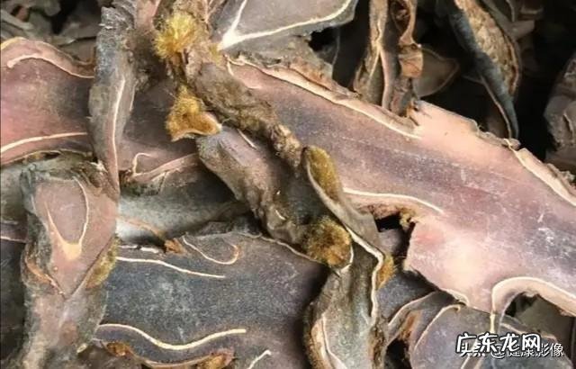 为什么有的人只要半年就发展为尿毒症了?