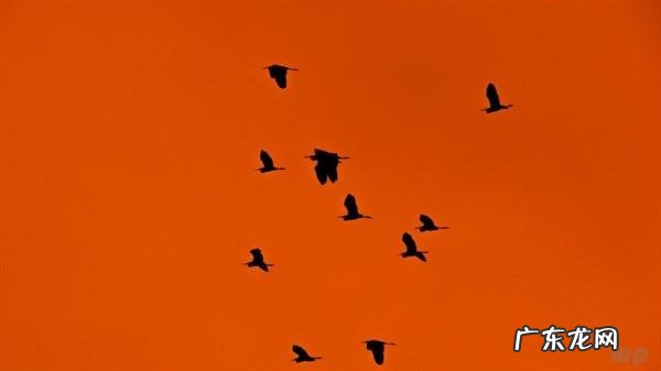 女人一生最该坚持的10件事 女人一生要坚持的几件事