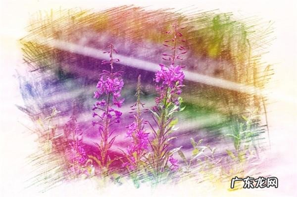 女人一生最该坚持的10件事 女人一生要坚持的几件事