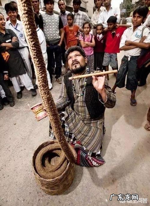 怎样用科学来解释“神仙索”