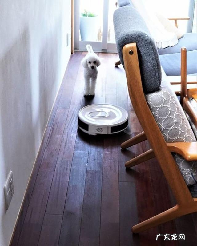 劝孩子勤劳做家务 日常学做家务