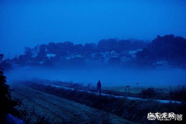 你看完后感到最压抑的一部影片是哪部,哪些情节让你感到压抑