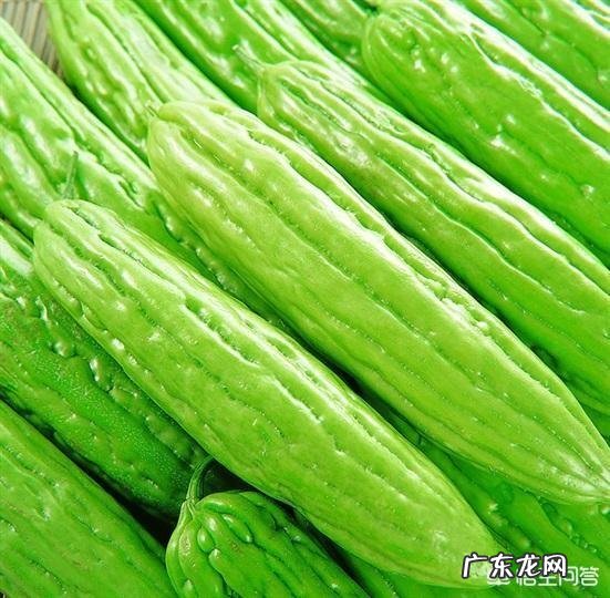 怎么做凉拌苦瓜才不苦,好吃下饭呢