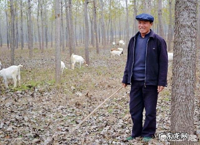 中医里为何说“好男一身毛，好女一身膘”有何依据