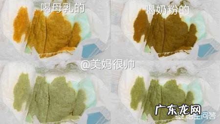 九个月宝宝大便正常,但拉绿色便便是怎么回事啊