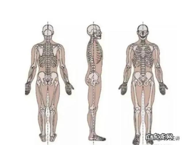 在家有哪些好的行为习惯?