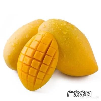 杭州哪里能买到正宗的龙井