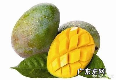 杭州哪里能买到正宗的龙井