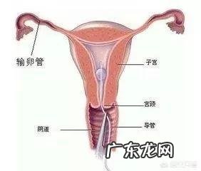 流产后子宫内膜多久能才恢复