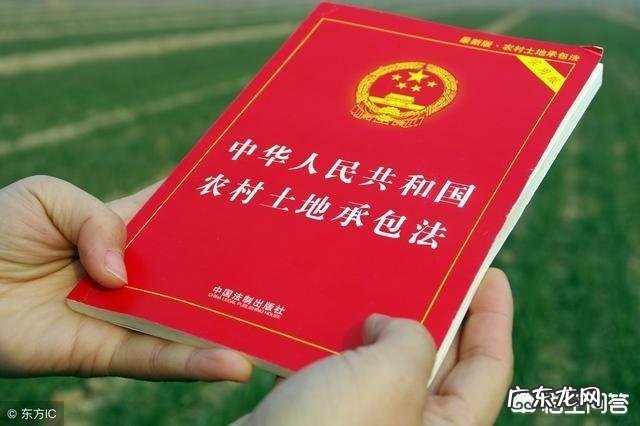 农村集体土地个人占有,并且出售他人,合法吗怎么处理