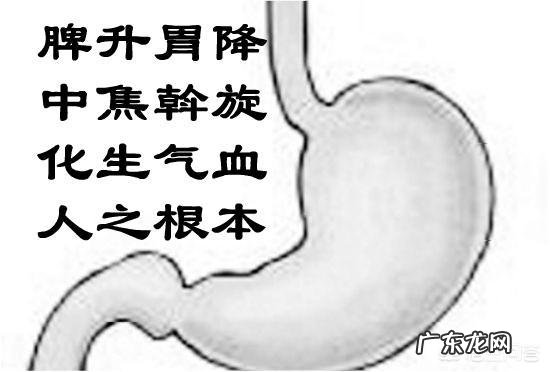 痛风患者吃着药为什么还会疼