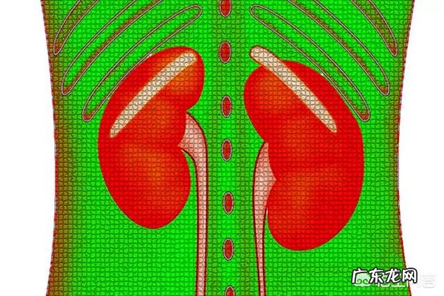 导致尿毒症的三大原因,分别是哪三个?