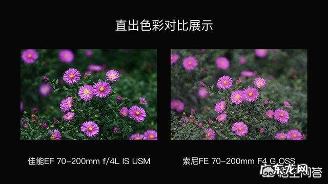 为什么有江湖气的人在社会中越来越不受待见