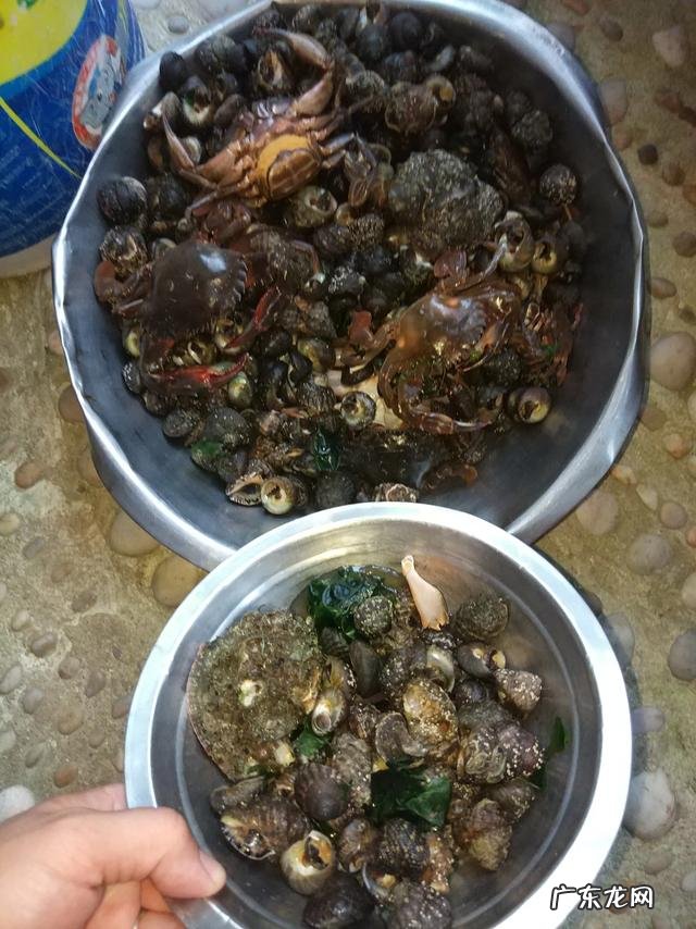 老家山东想回老家,烟台,威海居家生活成本如何,山东哪里最宜居