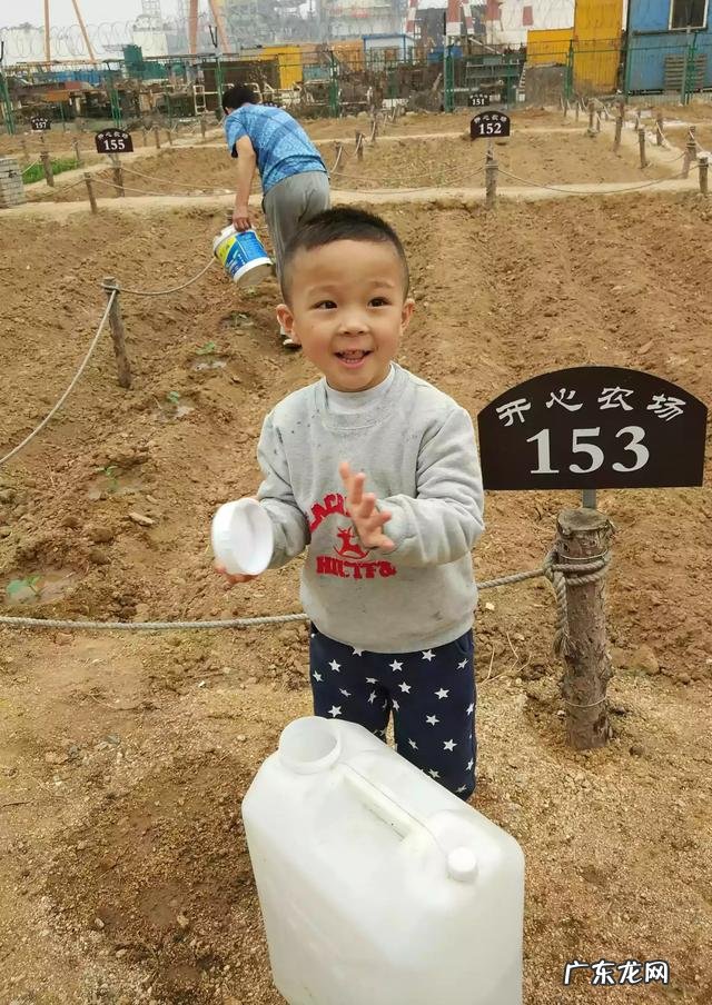 老家山东想回老家,烟台,威海居家生活成本如何,山东哪里最宜居