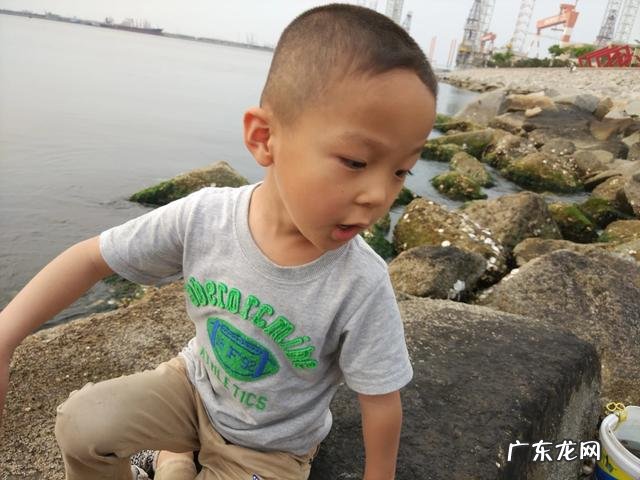 老家山东想回老家,烟台,威海居家生活成本如何,山东哪里最宜居