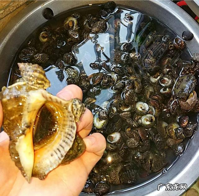 老家山东想回老家,烟台,威海居家生活成本如何,山东哪里最宜居