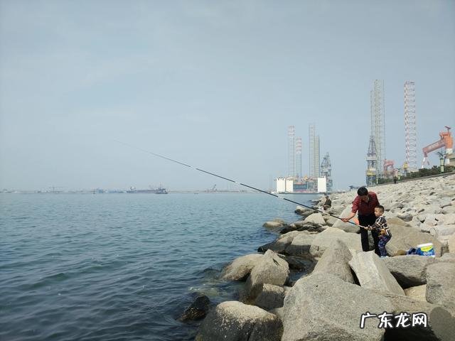 老家山东想回老家,烟台,威海居家生活成本如何,山东哪里最宜居