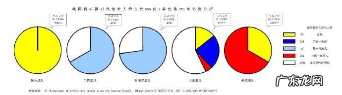 现在汉人都由哪些基因构成