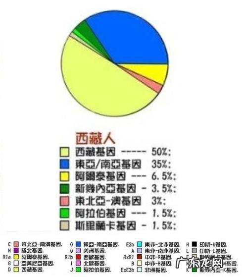 现在汉人都由哪些基因构成