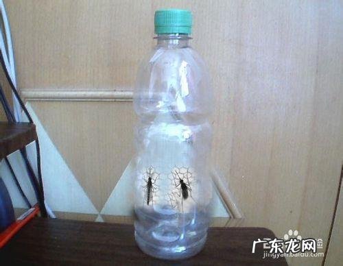 吃黛力新期间需要注意哪些问题