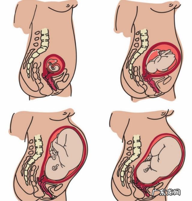 三十周胎儿正常的斤数大约是多少？这几点孕产知识，准妈妈要知道
