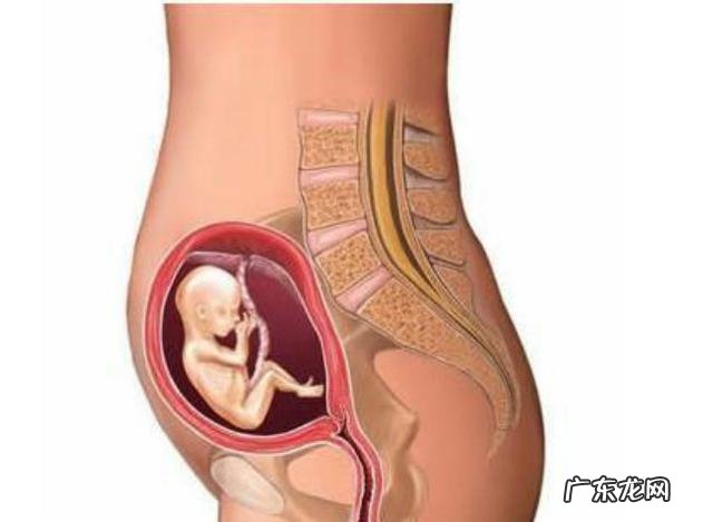 三十周胎儿正常的斤数大约是多少？这几点孕产知识，准妈妈要知道