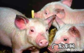 人睡觉后怎么会有时候呼吸急促,有时候呼吸正常呢